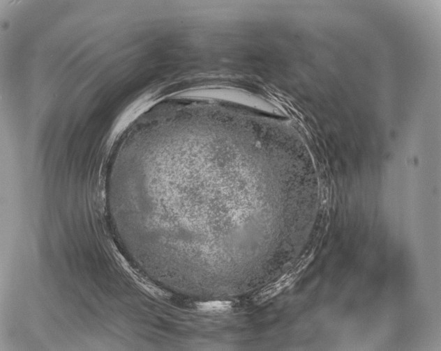 X0000067870053200604171234