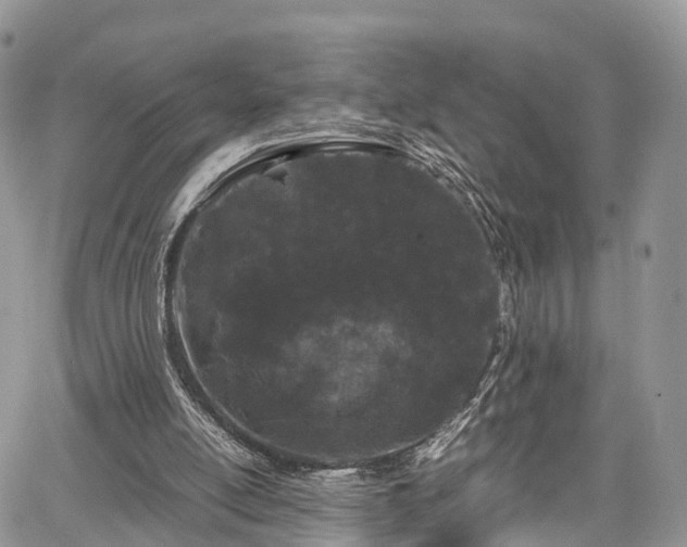 X0000067870054200604171234