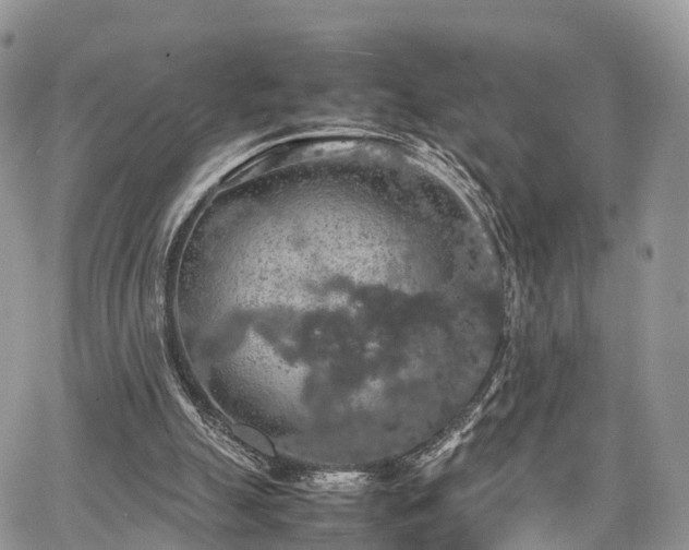 X0000067870055200604171234