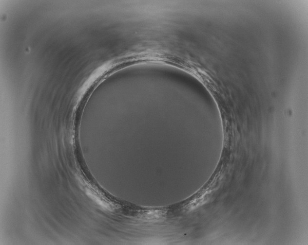 X0000067870056200604171234