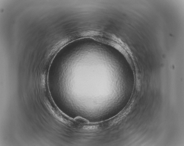 X0000067870057200604171234