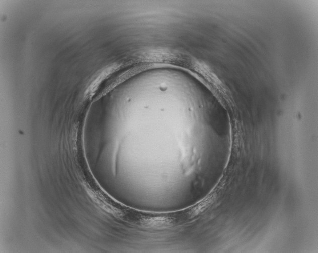 X0000067870058200604171234