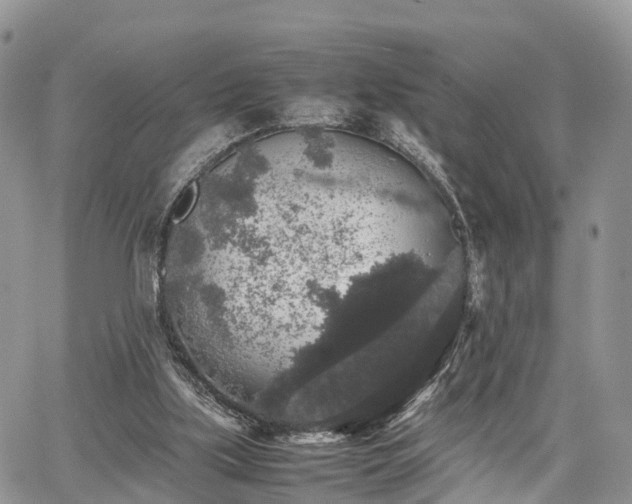 X0000067870059200604171234