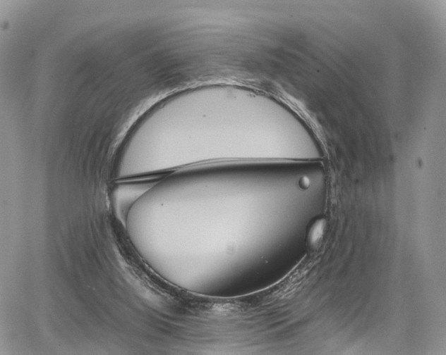 X0000067870060200604171234