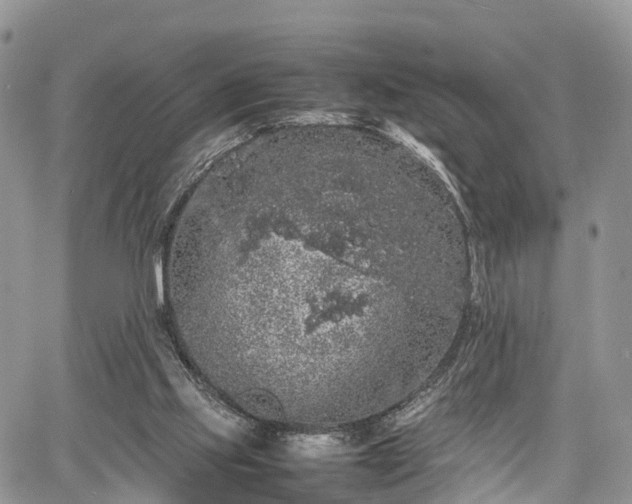 X0000067870061200604171234