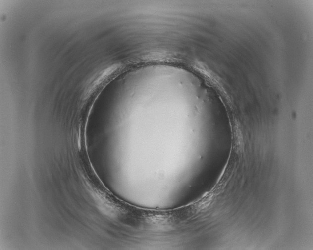 X0000067870062200604171234