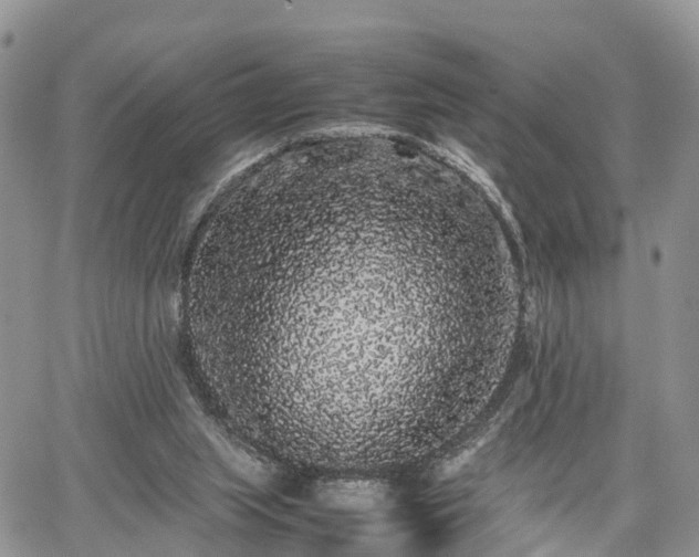 X0000067870063200604171234