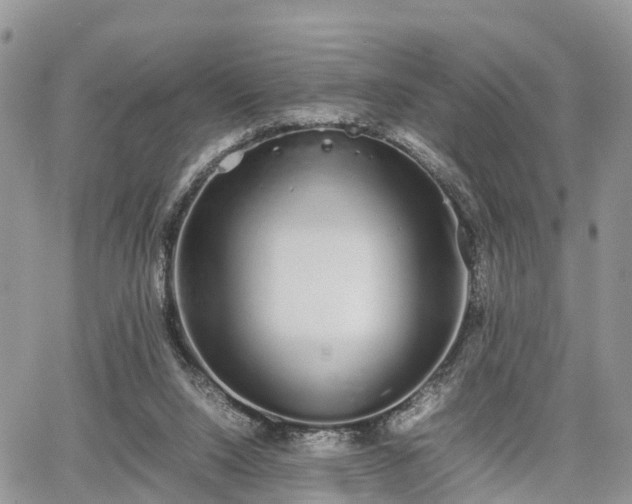 X0000067870064200604171234