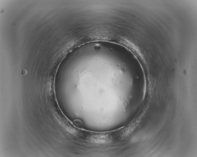 X0000067870065200604171234