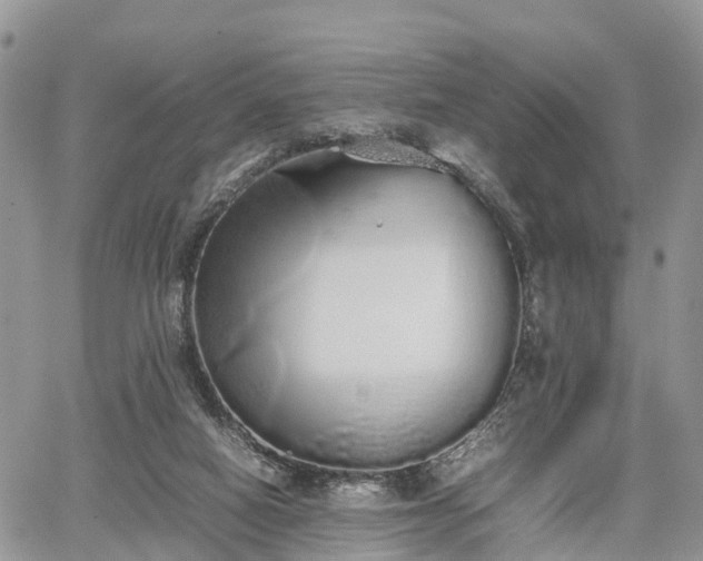 X0000067870066200604171234