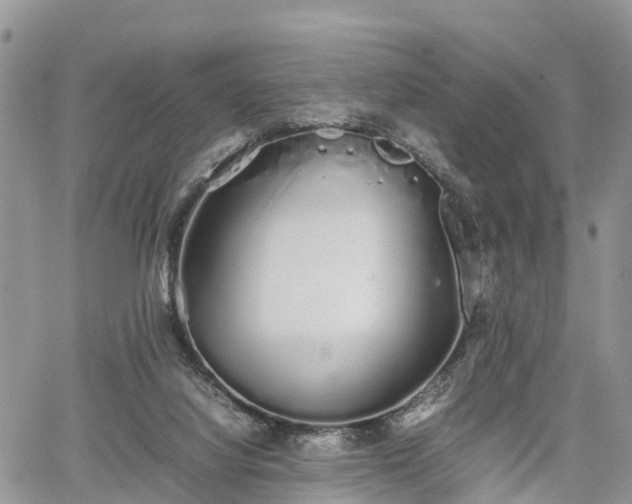 X0000067870068200604171235