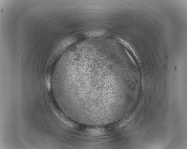 X0000067870069200604171235