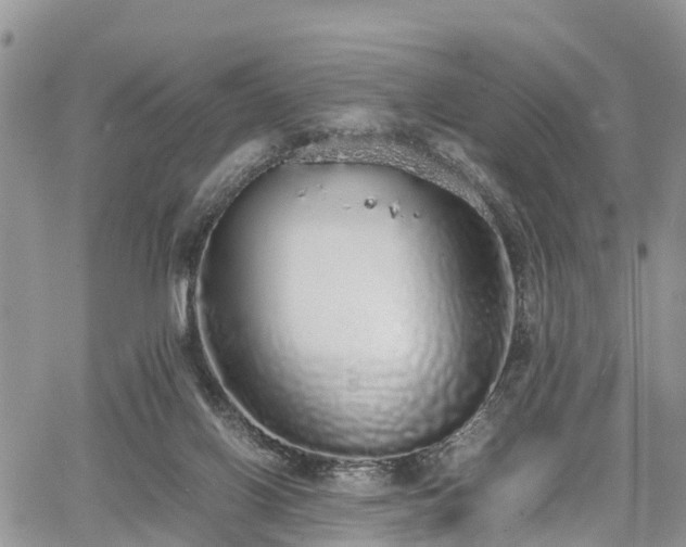 X0000067870070200604171235