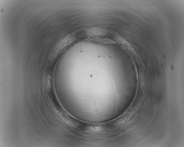 X0000067870071200604171235