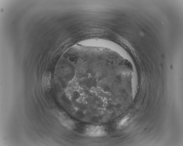 X0000067870073200604171235