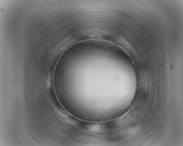 X0000067870074200604171235