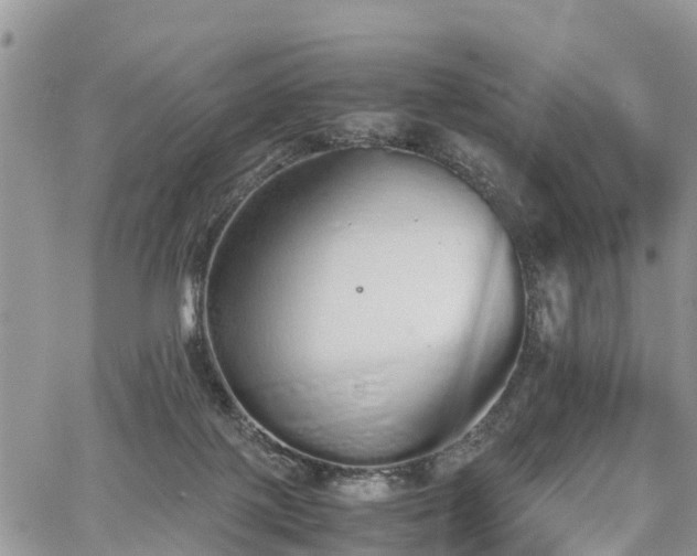 X0000067870075200604171235