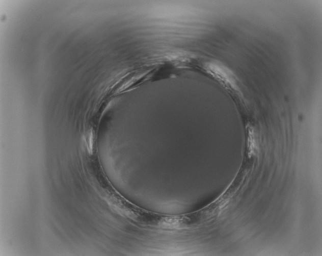 X0000067870076200604171235