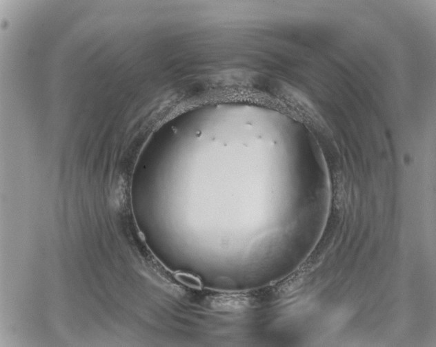 X0000067870077200604171235