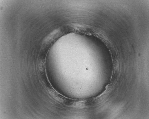 X0000067870078200604171235