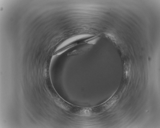 X0000067870080200604171235