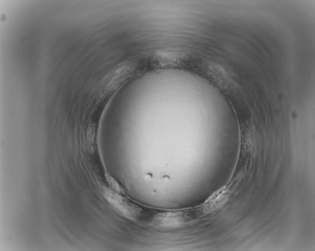 X0000067870082200604171235