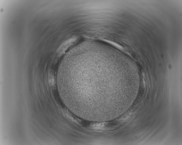 X0000067870084200604171235