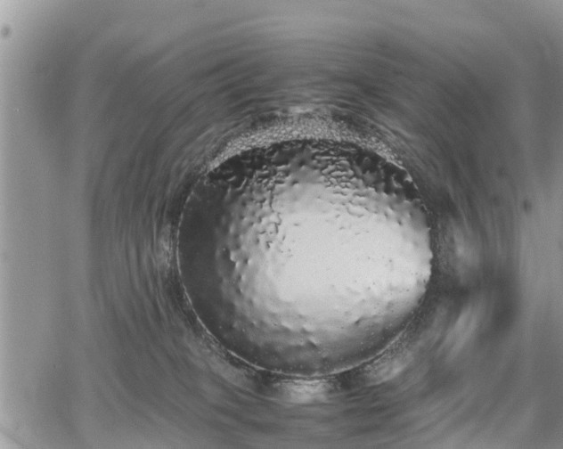 X0000067870085200604171235