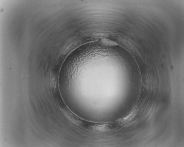 X0000067870086200604171235