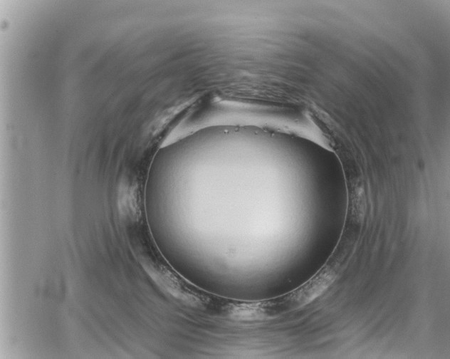 X0000067870088200604171235