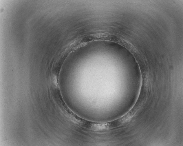 X0000067870089200604171235