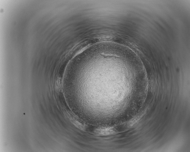 X0000067870093200604171235