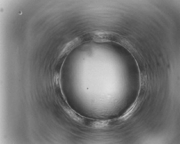 X0000067870094200604171235