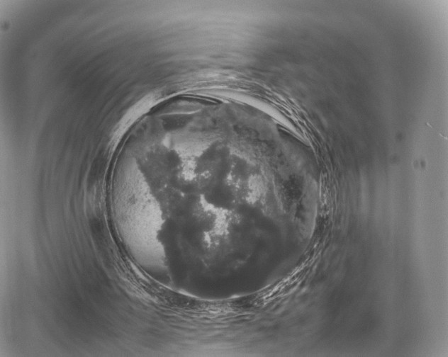 X0000067870099200604171234