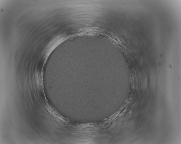 X0000067870100200604171234