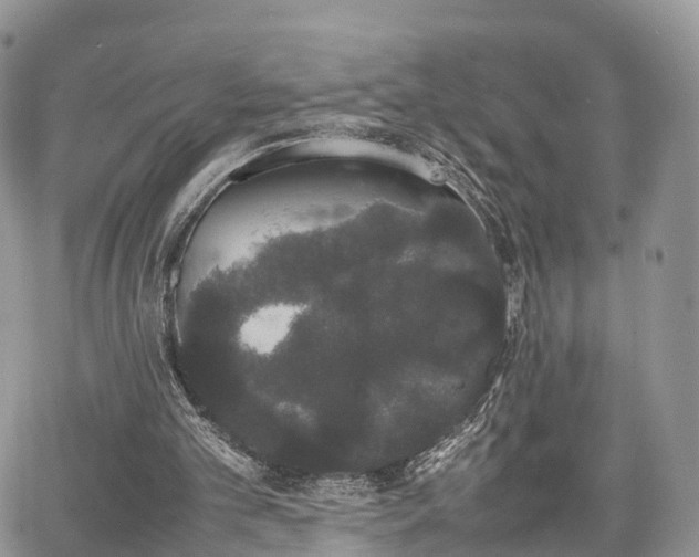 X0000067870101200604171234