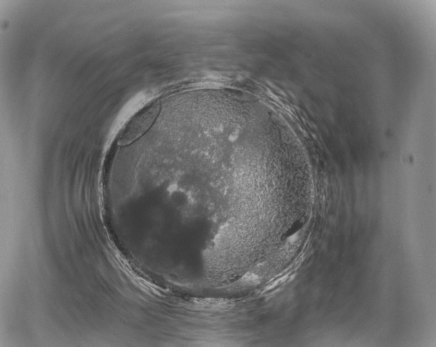 X0000067870102200604171234