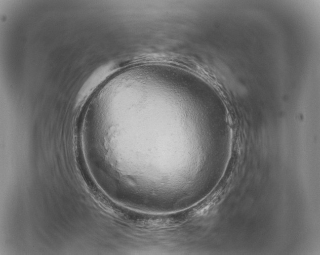 X0000067870103200604171234