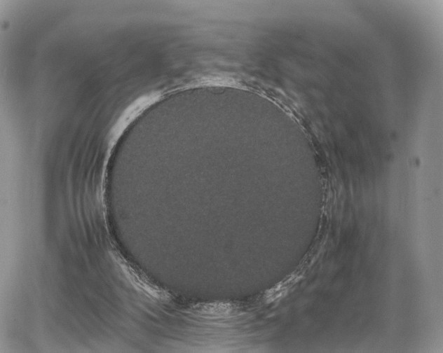 X0000067870104200604171234