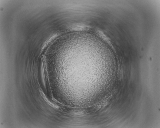 X0000067870106200604171234