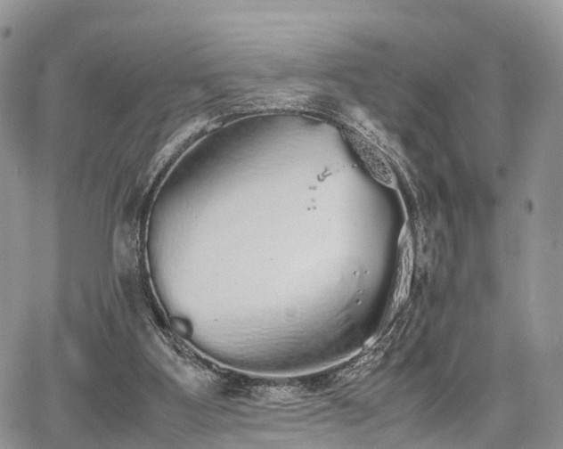 X0000067870107200604171234