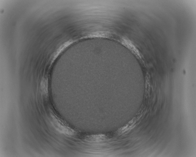 X0000067870108200604171234