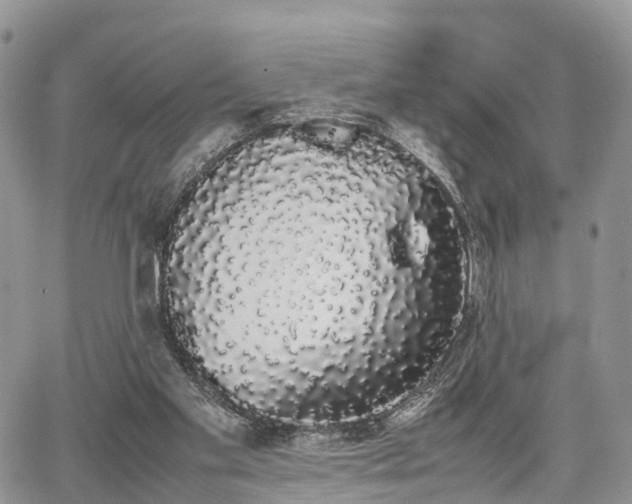 X0000067870109200604171234