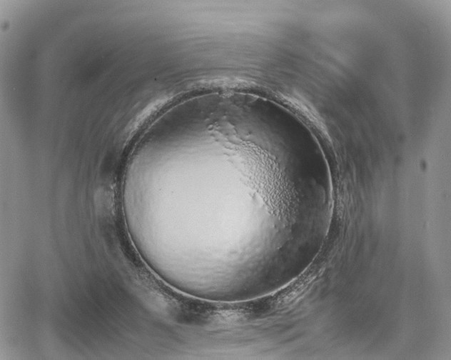 X0000067870111200604171234