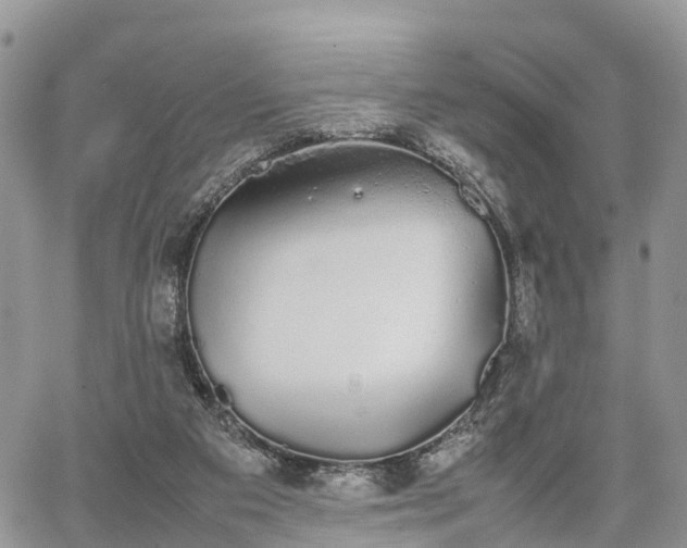 X0000067870113200604171234