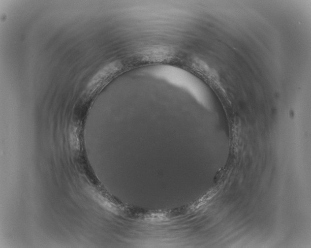 X0000067870114200604171234