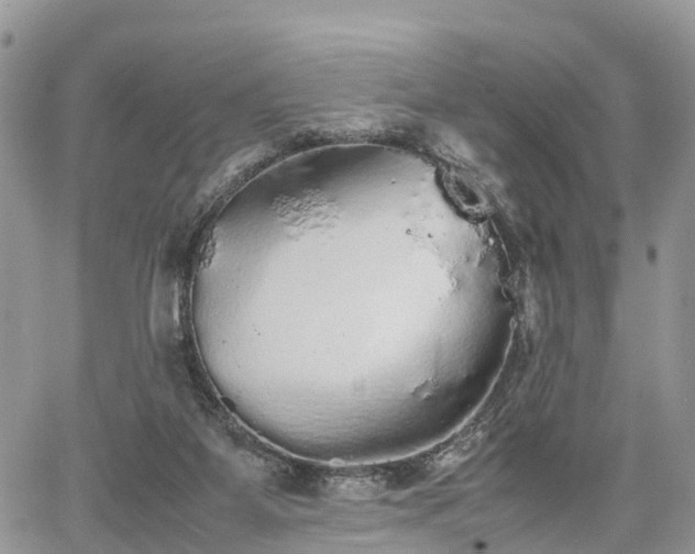 X0000067870115200604171234