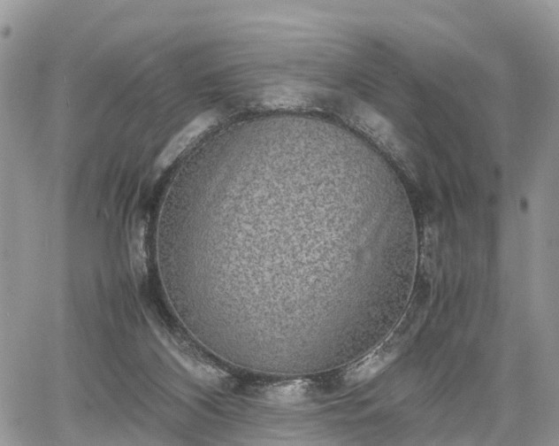 X0000067870116200604171234