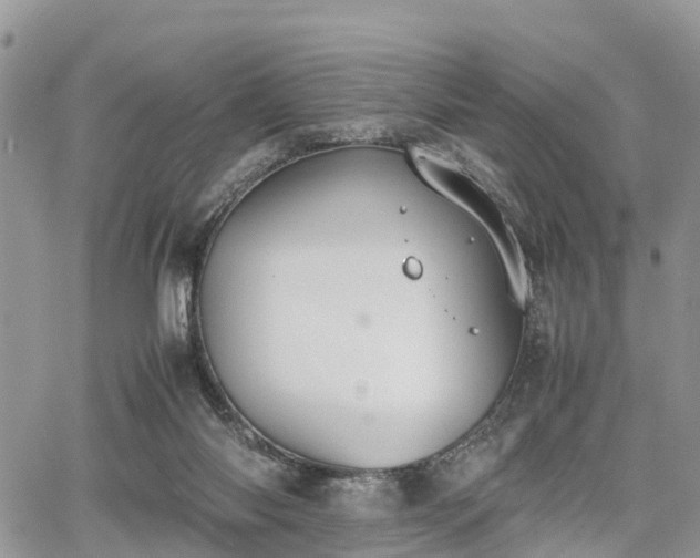 X0000067870118200604171234