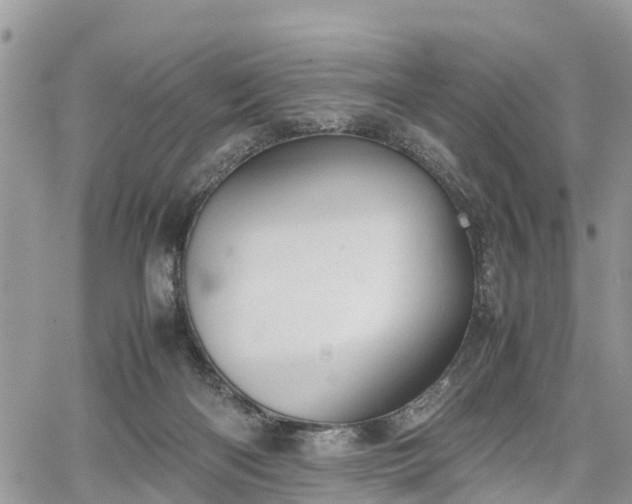 X0000067870122200604171234